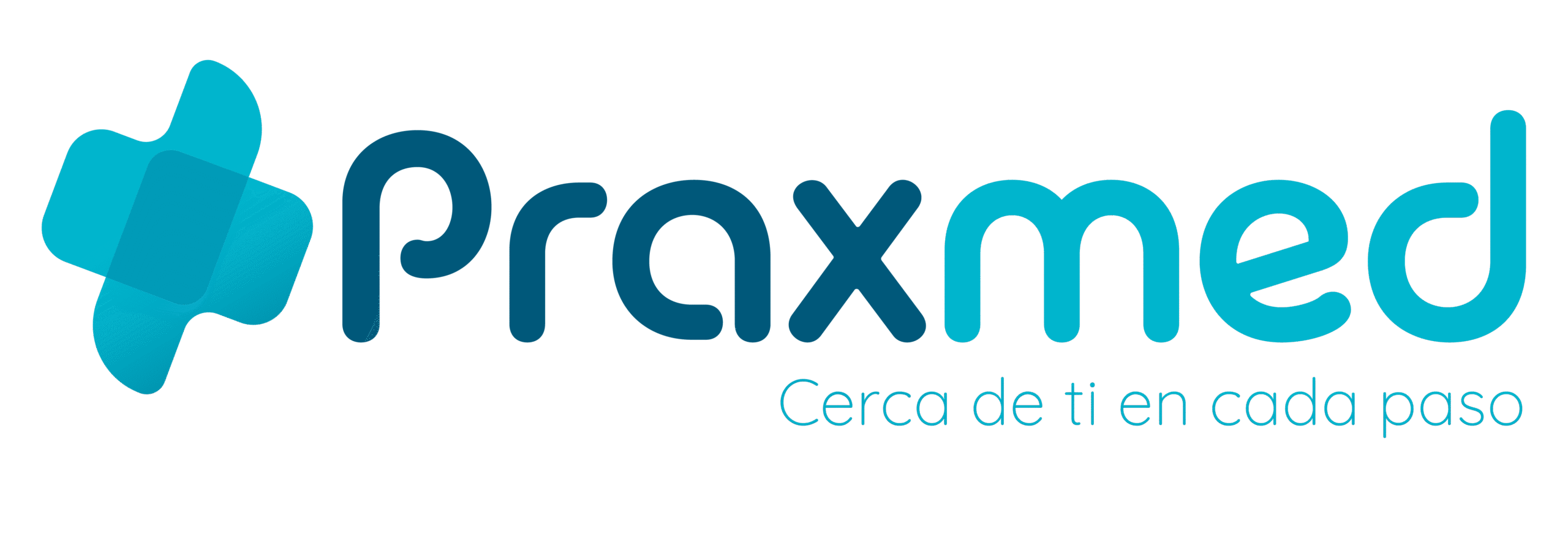 Logo Praxmed